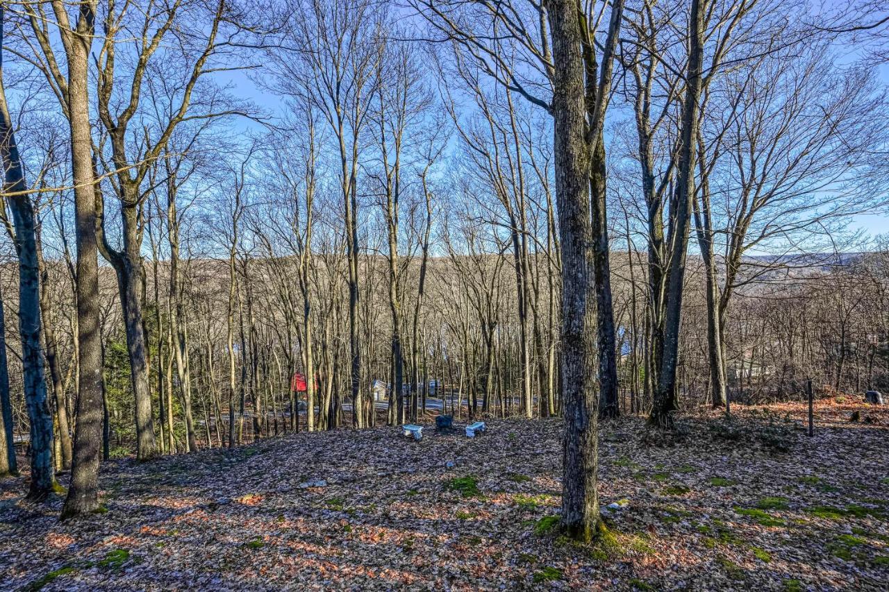 Birdhouse Lodge Окленд Экстерьер фото